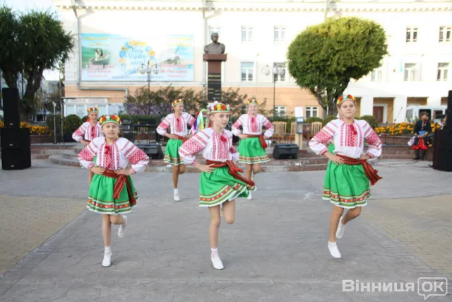 У Вінниці співали, палили смолоскипи і... лупцювали бійця «Донбасу» (Фоторепортаж) — фото 5