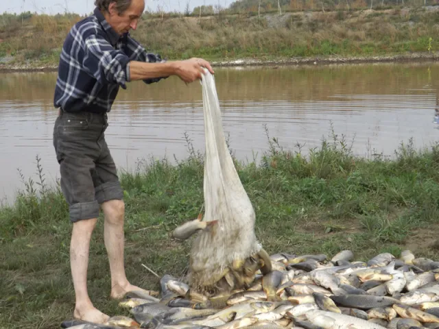 На Вінниччині екологічна катастрофа, вода в річці стала непридатною, людям продають отруєну рибу (фото) — фото 2