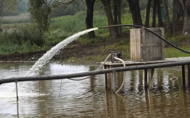 На Вінниччині екологічна катастрофа, вода в річці стала непридатною, людям продають отруєну рибу (фото) — фото 3
